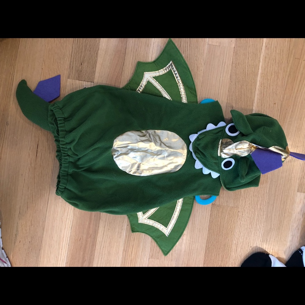 Pottery Barn Kids - Dragon Costume